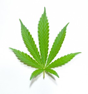 marijuana legalization in Michigan communities